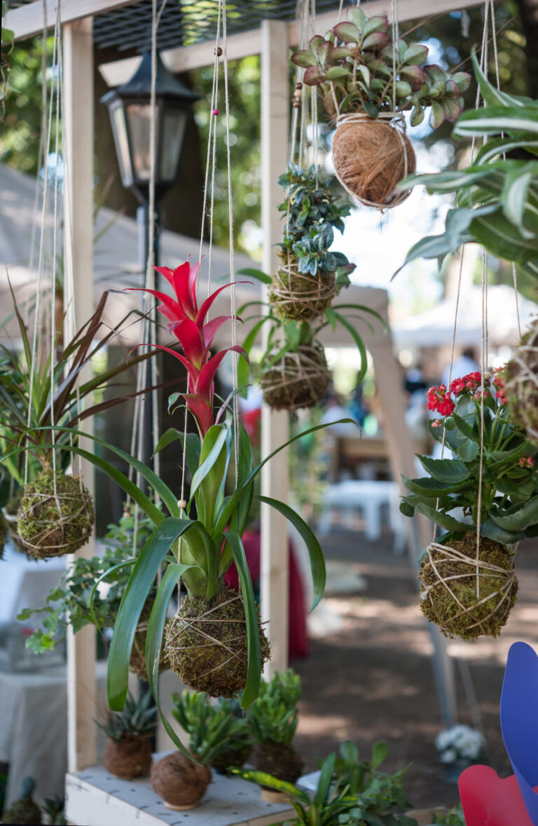 Decora con estilo: 30 Ideas para crear plantas kokedama DIY únicas en casa